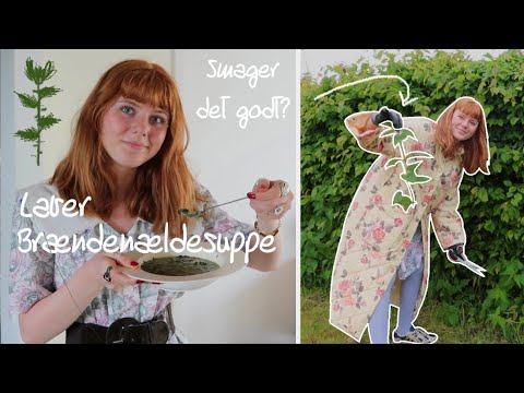 LAVER BRÆNDENÆLDESUPPE (BRÆNDER MIG!) Smager det godt?