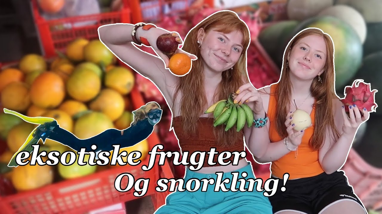 BALI VLOG - Smager eksotiske frugter og snorkler med djævlerokker!