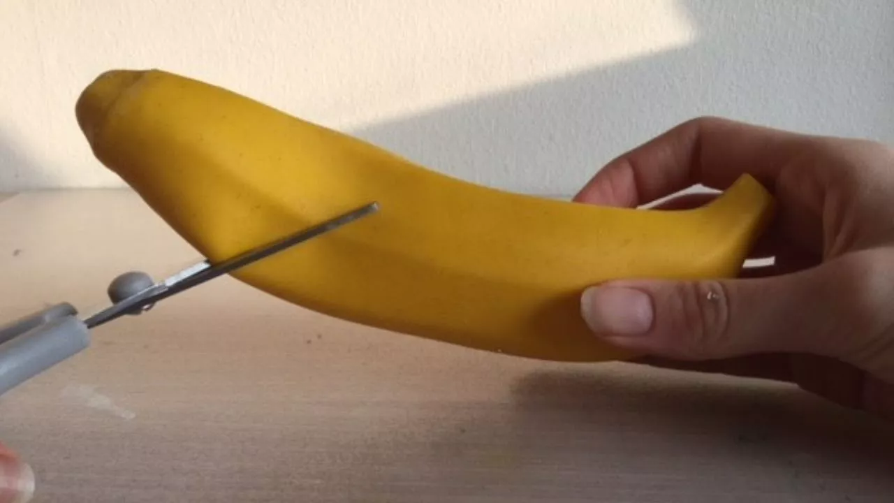 Jeg klipper en mærkelig banan squishy op ✂️