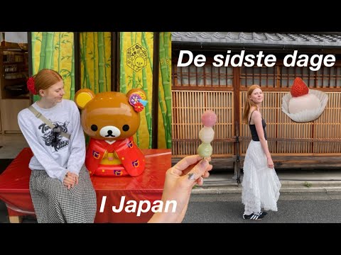 JAPAN VLOG - street food, ser vilde aber og en masse templer