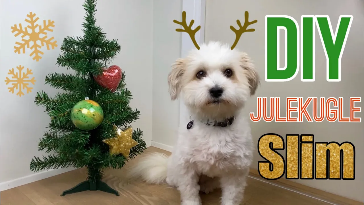 DIY julekugle slim!!
