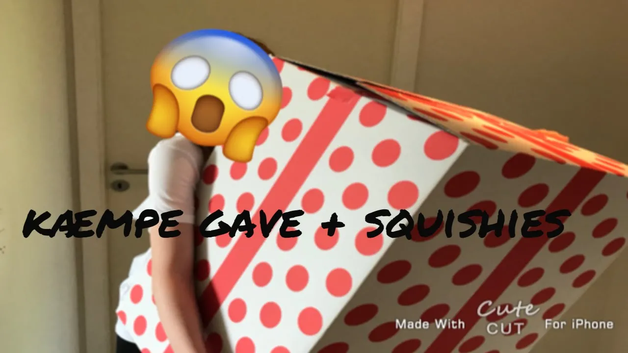 Kæmpe gave og squishies (Nonfimations haul)