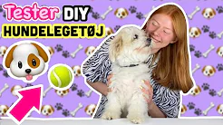 Tester Diy hundelegetøj til min hund!! Min hunds fødselsdag! //Emmes krea-verden//