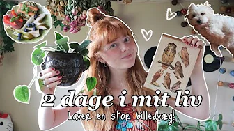 2 DAGE I MIT LIV - Room makeover og en snak om min hunds skade