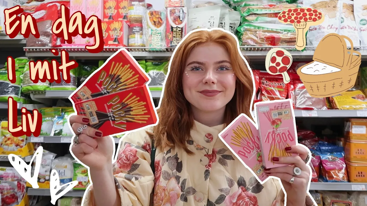 VLOG - Picnic, shopping, asiatisk butik, journaling, haul