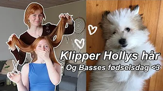 KLIPPER HOLLYS HÅR! - Min hunds fødselsdag og julemarket