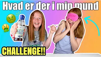 HVAD ER DER I MIN MUND CHALLENGE!! Med Holly! //Emmes krea-verden//
