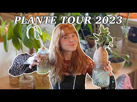 PLANTE TOUR 2023! - min plante samling