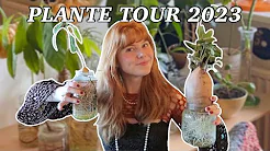 PLANTE TOUR 2023! - min plante samling