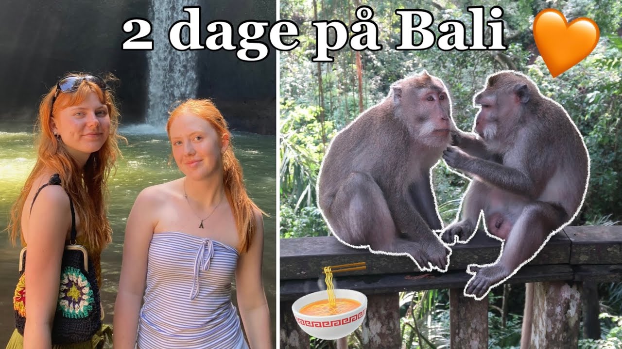 BALI VLOG - Ser vilde aber, shopper, vandfald, Pool og m.m