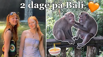 BALI VLOG - Ser vilde aber, shopper, vandfald, Pool og m.m