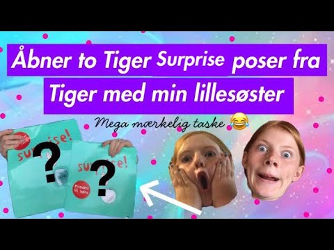 Åbner to tiger surprise poser med min lillesøster💖