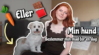 MIN HUND BESTEMMER MIN MAD FOR EN DAG! - Emmes