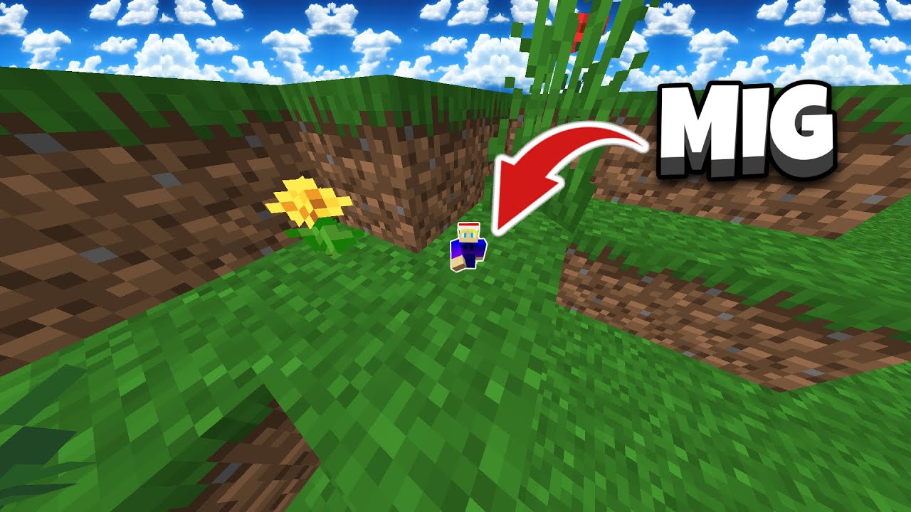 Minecraft, Men Jeg Er 2 PIXELS HØJ?!