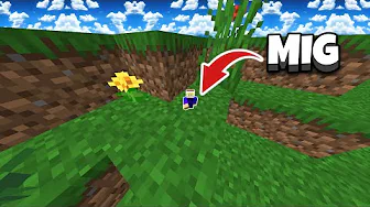 Minecraft, Men Jeg Er 2 PIXELS HØJ?!