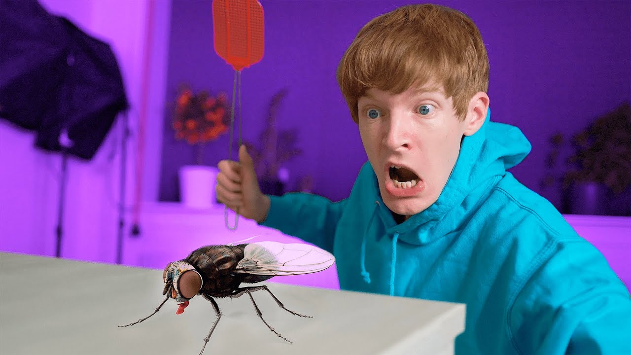 HVERDAGENS SMÅ PROBLEMER #5