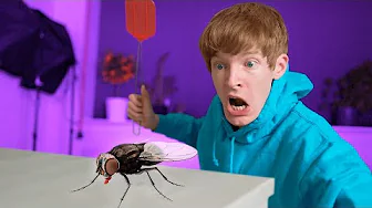 HVERDAGENS SMÅ PROBLEMER #5