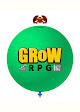 GROW RPG