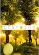 LOST EGG