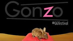 Billetsalget er IGANG til #GGfestival