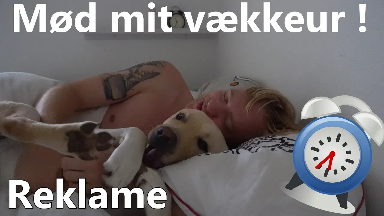 100% Bedre end et vækkeur !