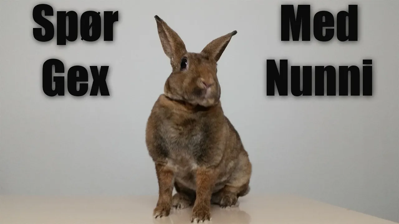 Spør Gex - Med Nunni !