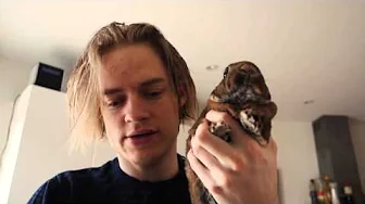 FORHELVET !!!! Er stadig syg  ..... "update"