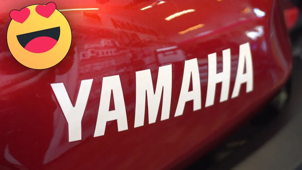 HVILKEN SKAL MAN VÆLGE ?