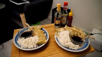 De her koster kassen i Sushi restauranter - hjemmelavet gyoza