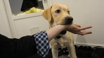 En dag på LANDET #16 - Don´t Eat Daddy