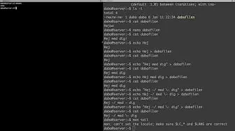 cat, tail og echo | Lær Linux for begyndere (serie)