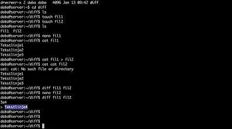 diff i Linux - sammenlign filer | Lær Linux for begyndere (serie)