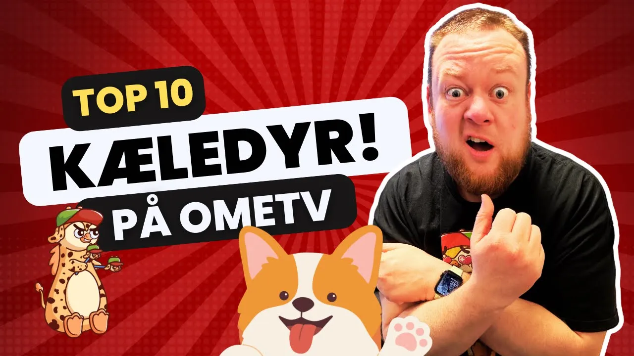 OmeTV: Hvad er jeres yndlings kæledyr? 🐕🐈🐢🦁