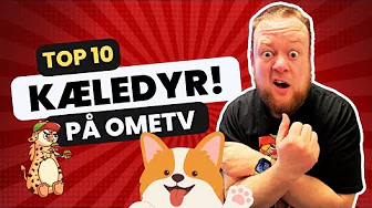OmeTV: Hvad er jeres yndlings kæledyr? 🐕🐈🐢🦁
