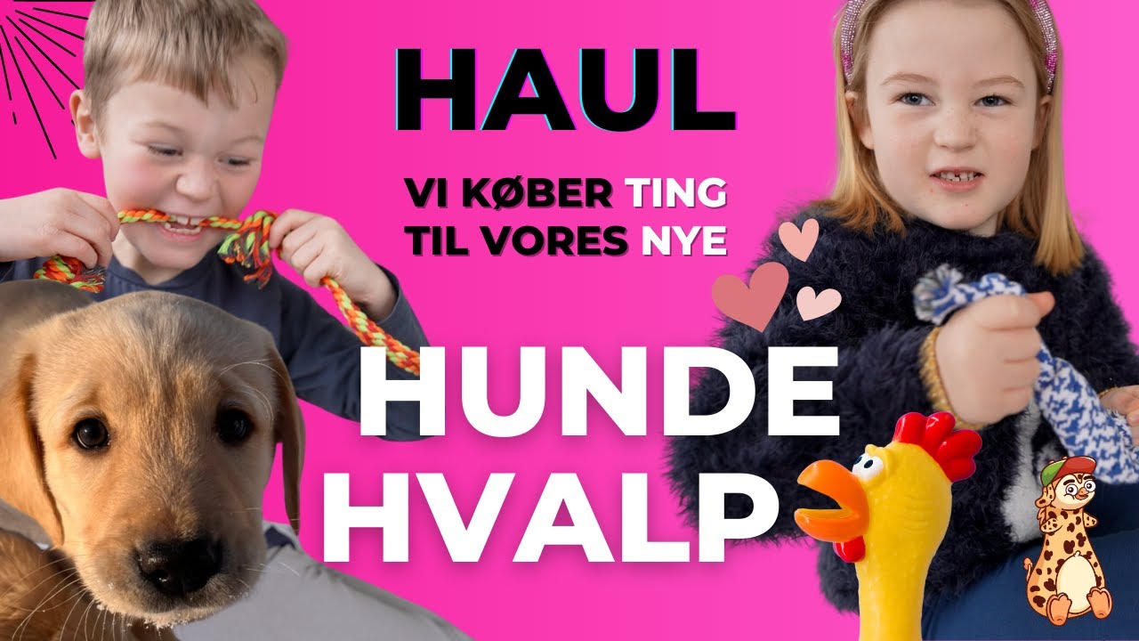 Hvalpe Haul 🐶 Vi gør klar til vores nye hundehvalp