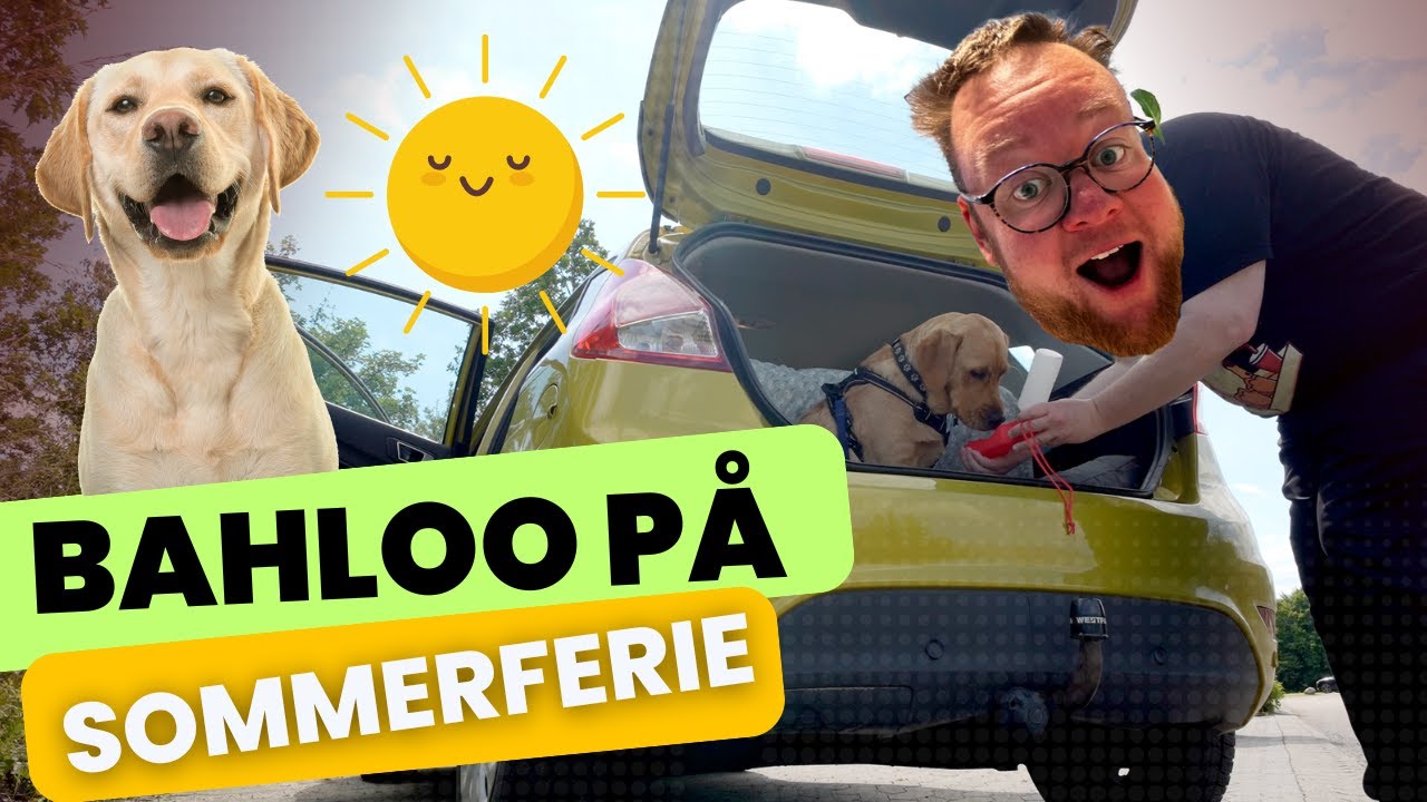 🐶 Bahloo på Sommerferie hos mine forældre 🐾 (vlog)