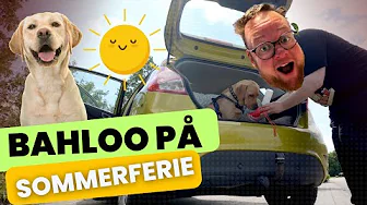 🐶 Bahloo på Sommerferie hos mine forældre 🐾 (vlog)