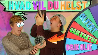 GRIB EN KAKTUS! | Hvad Vil Du Helst? #3