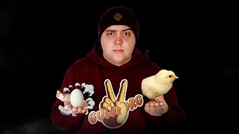 Kan Man Udruge Et Æg Fra En Butik?