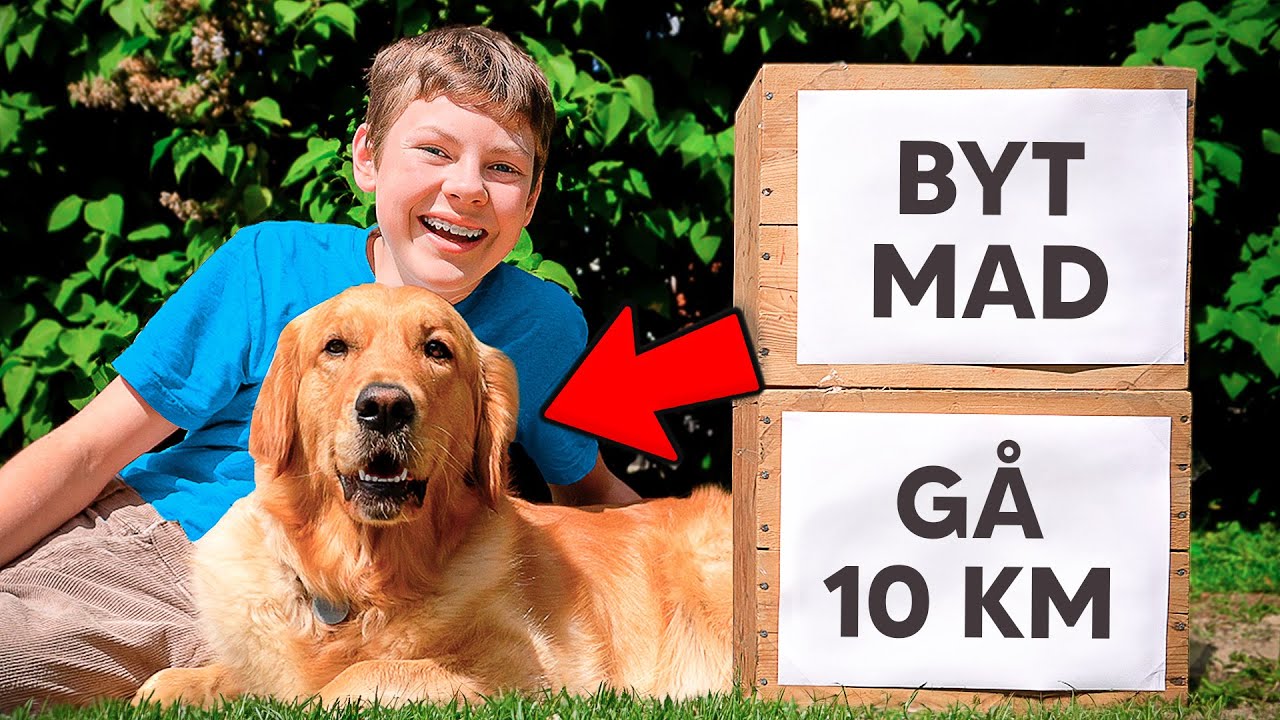 Min Hund Styrede Mit Liv For EN DAG