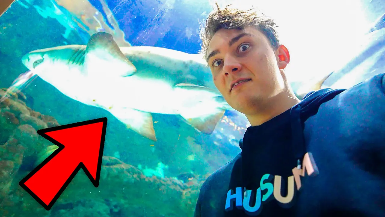 Den her Hajs Unger ÆDER HINANDEN i Morens Mave!