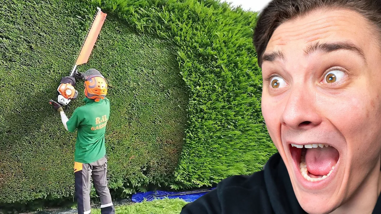 Mest TILFREDSSTILLENDE Arbejdere