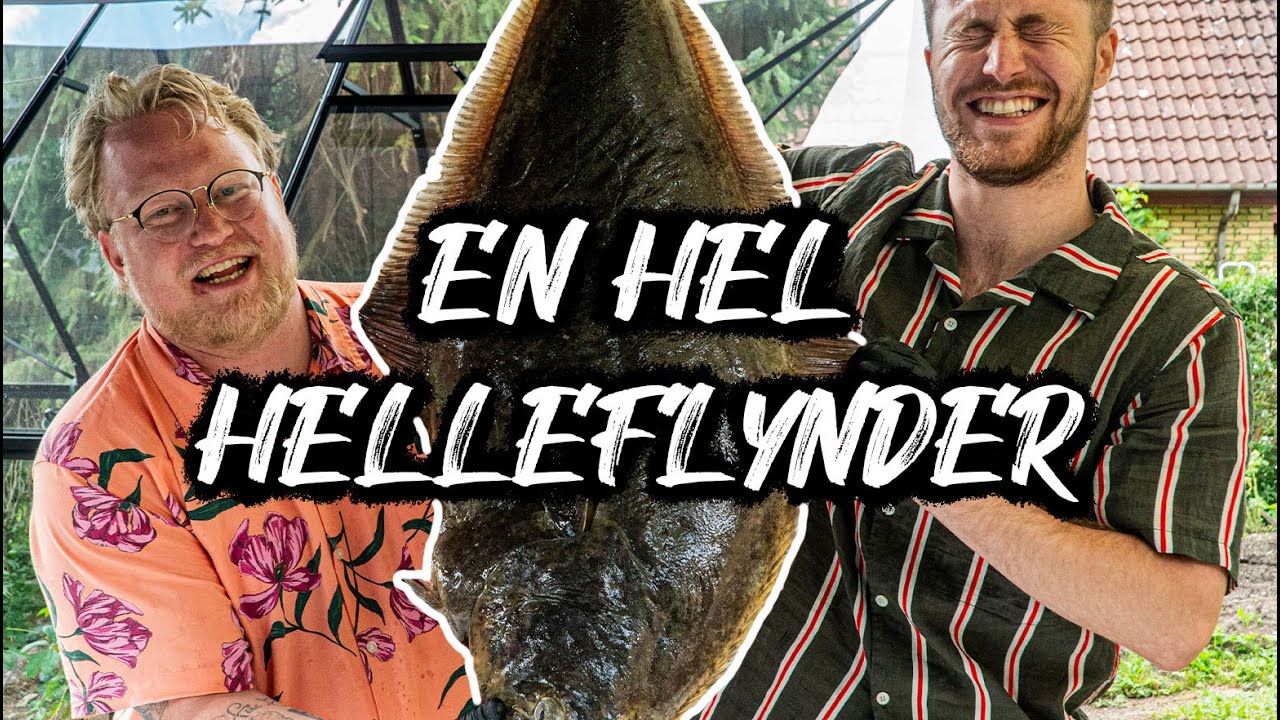 HEL HELLEFLYNDER | HELE DYR