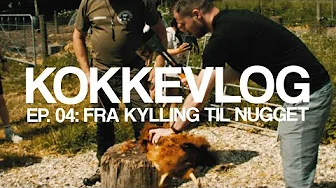 FRA KYLLING TIL NUGGET