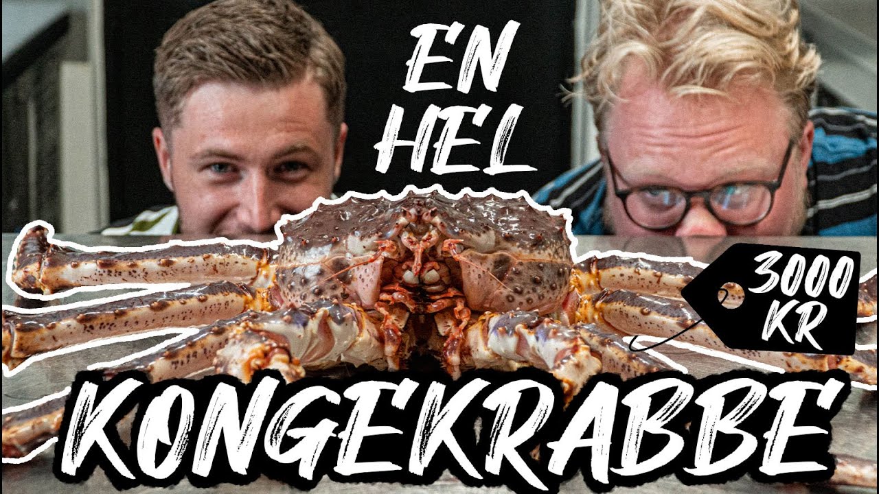 KÆMPE KONGEKRABBE | HELE DYR