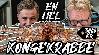 KÆMPE KONGEKRABBE | HELE DYR