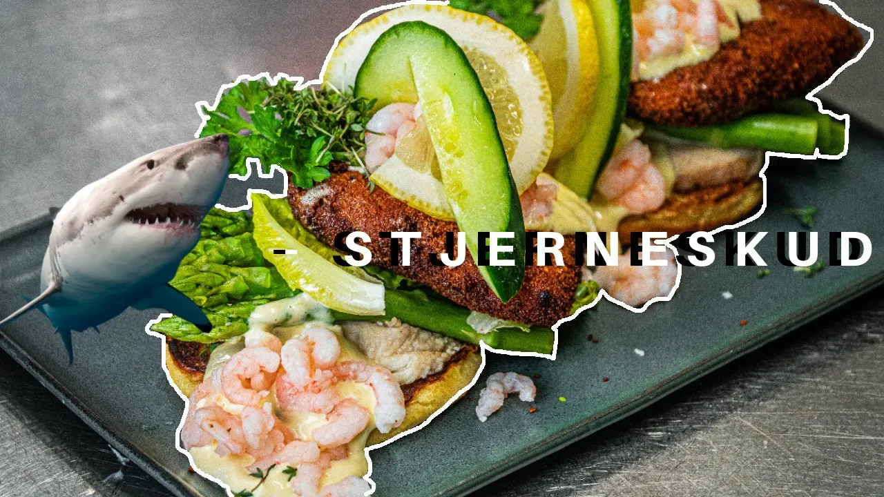 HAJ STJERNESKUD | De bedste haj opskrifter | HELE DYR