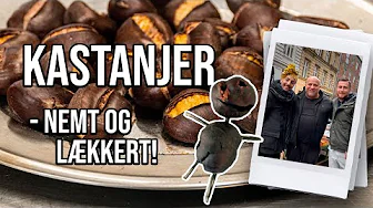 NØRREBRO'S KASTANJEMAND