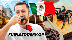 Jeg prøvede Mexico City's mest ekstreme kød! | Kan det virkelig spises?