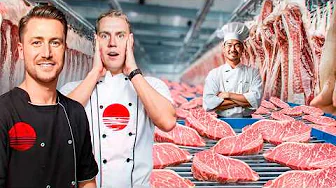Fra rå kylling til wagyu-tyktarm – vi besøgte en af Japans mest eksklusive A5-farme